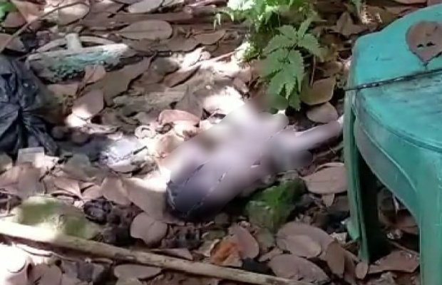 Foto: Bayi yang ditemukan tanpa alas oleh warga
