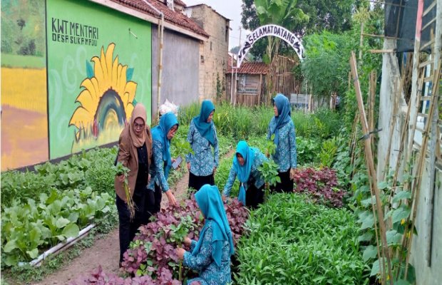 Foto: Ibu-ibu PKK saat sedang bekerja