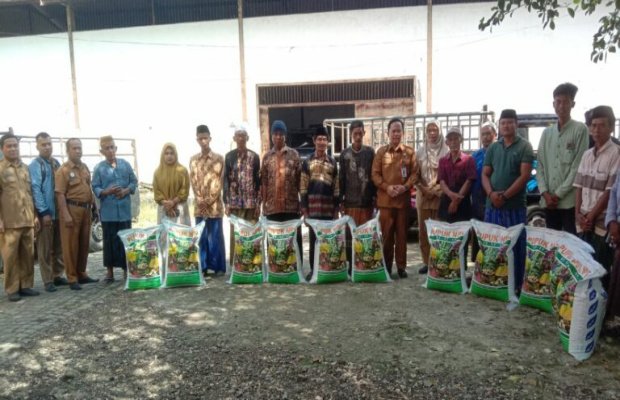 Foto: Secara simbolis DKPP Sumenep memberikan bantuan pupuk gratis kepada petani tembakau