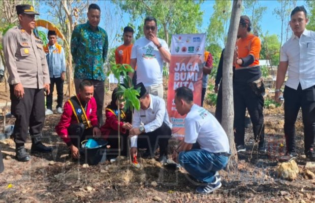 Foto: Sekda Sampang saat menanam bibit pohon mangga di area kampus Poltera