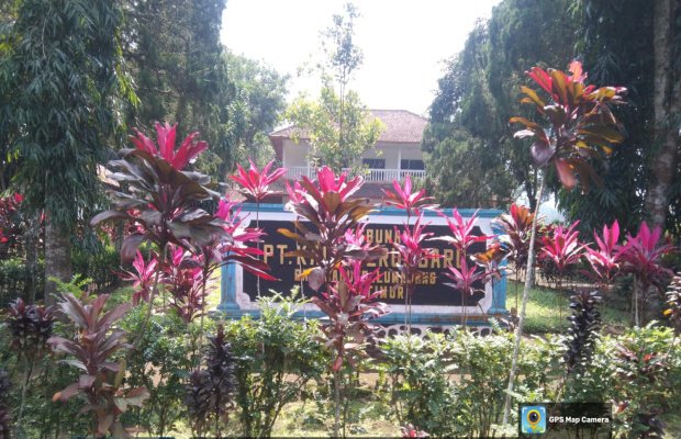 Foto : Aula/Kantor Perkebunan PT. Kalijeruk Baru