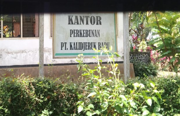 Foto : Papan nama Kantor Perkebunan PT. Kalijeruk Baru (ekslusif).