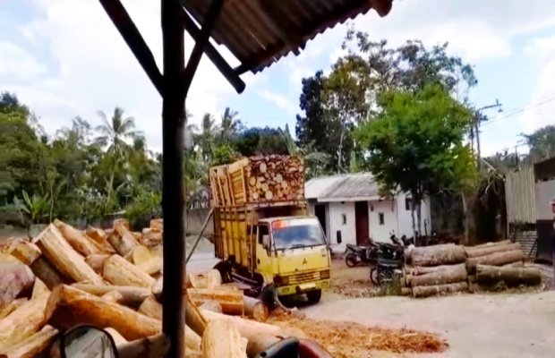Foto : Aktivitas di CV. Surya Agro Mandiri, dihari berikutnya pasca disidak