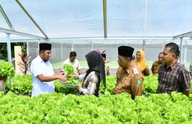 Foto: Bupati Sumenep saat mendampingi Kadis Pertanian di kebun hidroponik IRA Farm Desa Ketawang Laok