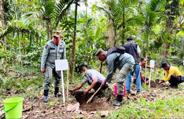 Foto : Pelaksanaan penanaman pohon di lokasi kegiatan