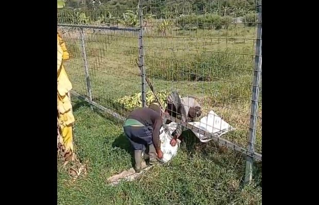 Foto: Petani Songgoriti saat melewati Akses Jalan yang Diberi Batas Pagar Besi