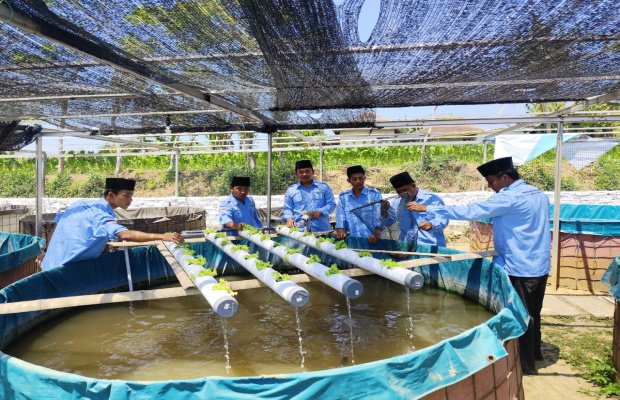 Foto: KKN UA Posko 58 Kembangkan Selada Akuaponik di Kolam Lele Annuqayah