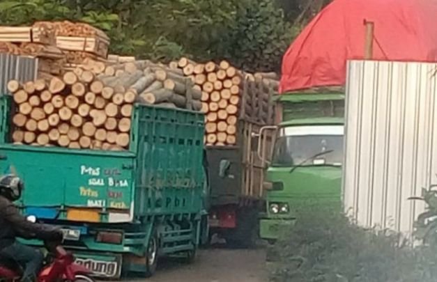 Foto: aktivis pabrik kayu ilegal yang dinyatakan sudah ditutup