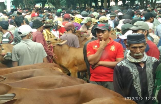 Foto : Situasi Di Pasar Hewan Wonoasih Kota Probolinggo