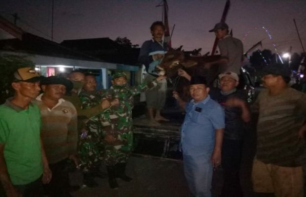 Foto: Suasana saat sapi dikembalikan / diserahkan pada sang pemilik