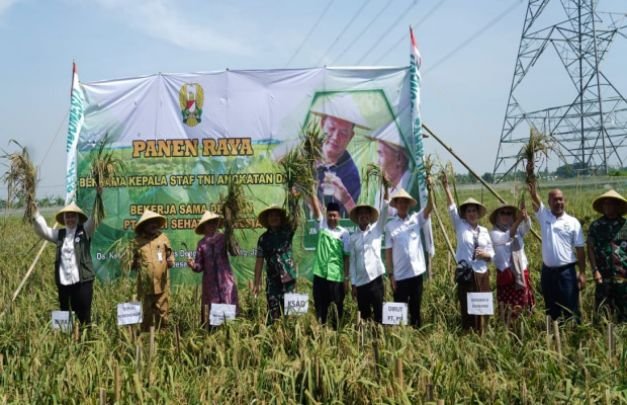 Foto: Jenderal Dudung giat panen raya di Karawang 