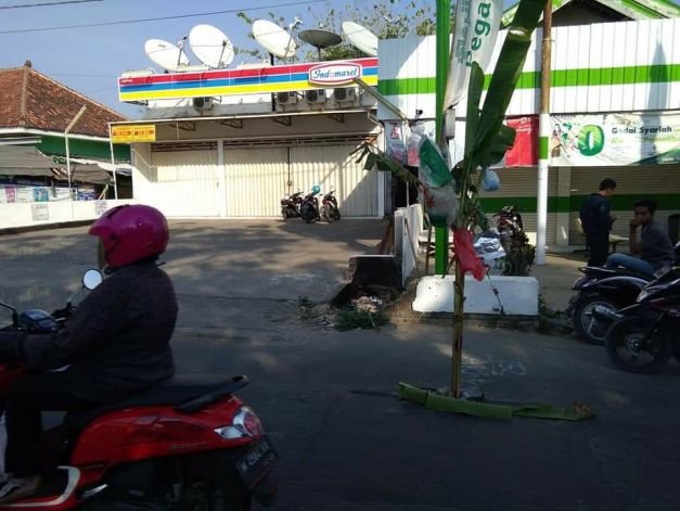 Foto : Tampak Jelas Keberadaan Pohon Pisang Dibahu Jalan Sebelah Kiri Yang Berada Di Desa Lenteng