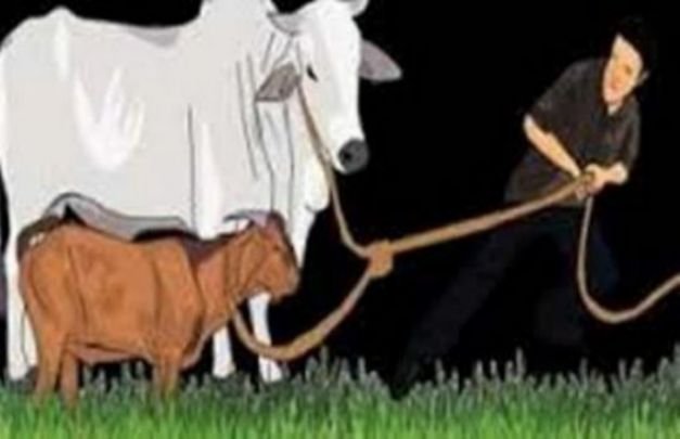 Foto: Ilustrasi google
