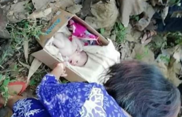 Foto: bayi merah tak berdosa yang ditenukan membiru di pekarangan warga