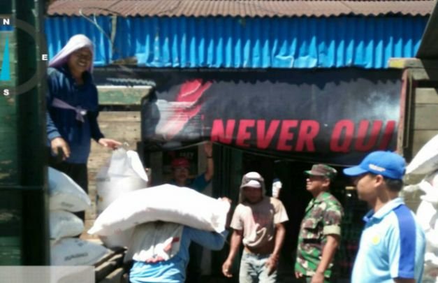 Foto: pendistribusian pupuk di Lumajang