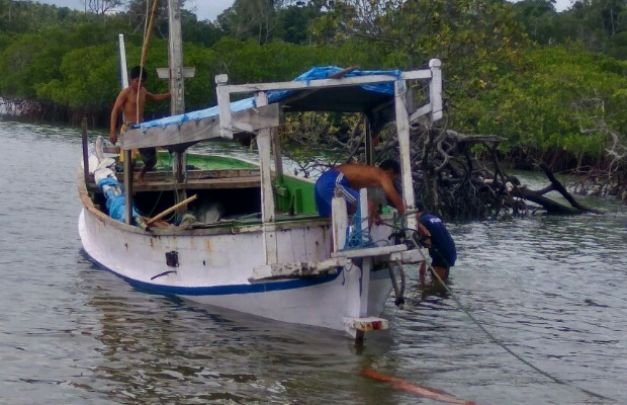 Foto: perahu yang diduga mengangkut katu rimba ilegal