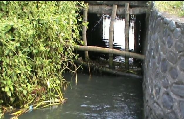 Foto: Aliran sungai terhubung laut yg diduga jadi saluran pembuangan limbah tambak udang PT. Bumi Subur. Saat panen