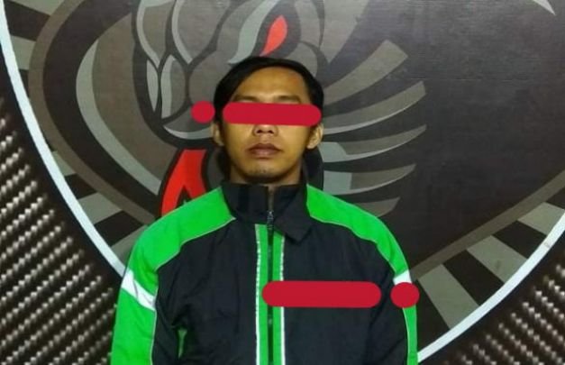 Foto: 'MK' saat diamankan ke Mapolres Lumajang