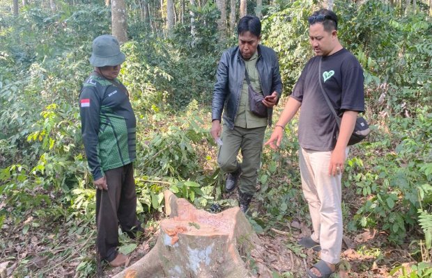 Foto : Polhut dan anggota Polsek Klakah di tempat kejadian perkara. (Doc.memoonline)