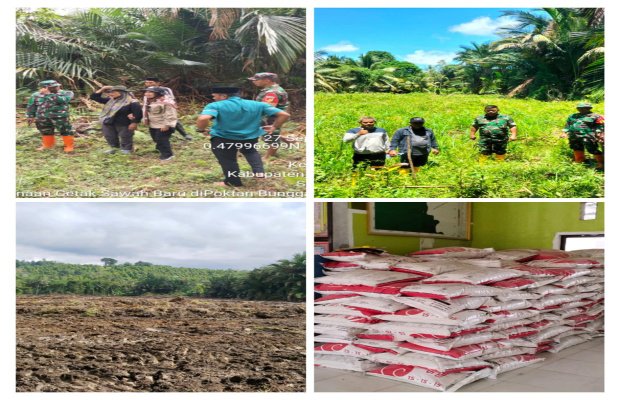 Foto: Lokasi pencetakan sawah baru tahun 2025 di Desa Taopa Utara, Kecamatan Taopa, Kabupaten Parigi Moutong
