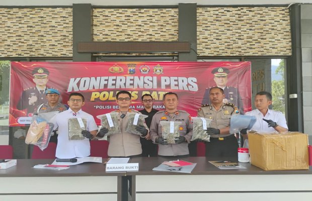 Foto: Petugas menunjukan BB ganja seberat 5 kilogram